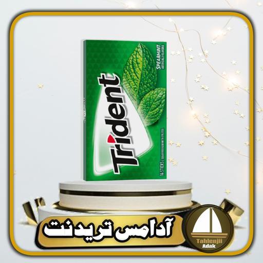 آدامس تریدنت  با طعم نعناع کاغذی اصل